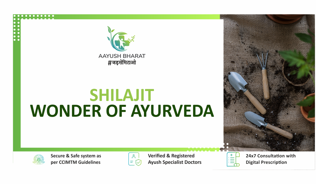 Shilajit– Wonder of Ayurveda