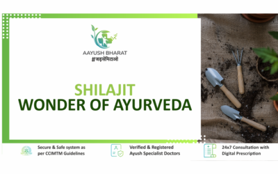 Shilajit– Wonder of Ayurveda