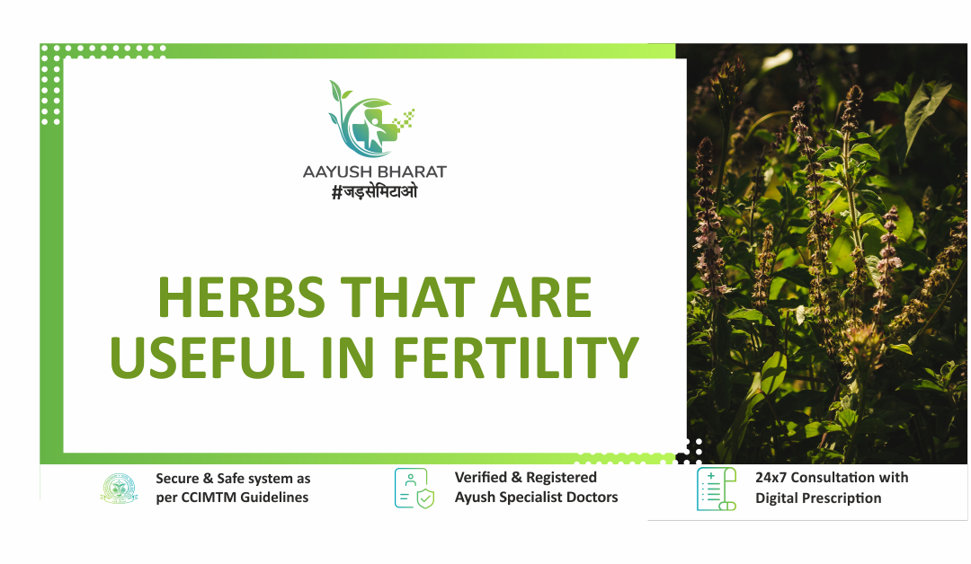 Herbs That Are Useful In Fertility