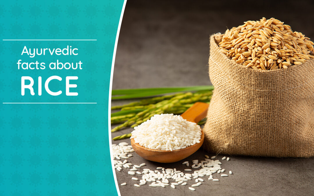 AYURVEDIC FACTS ABOUT RICE