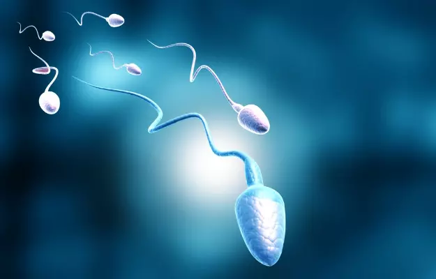 The Ultimate Guide to Using Sperm Boosters for Athletic Performance: Insights from Ayurveda and Homeopathy