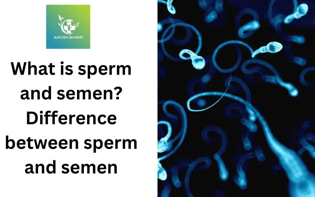 What is sperm and semen? Difference between sperm and semen