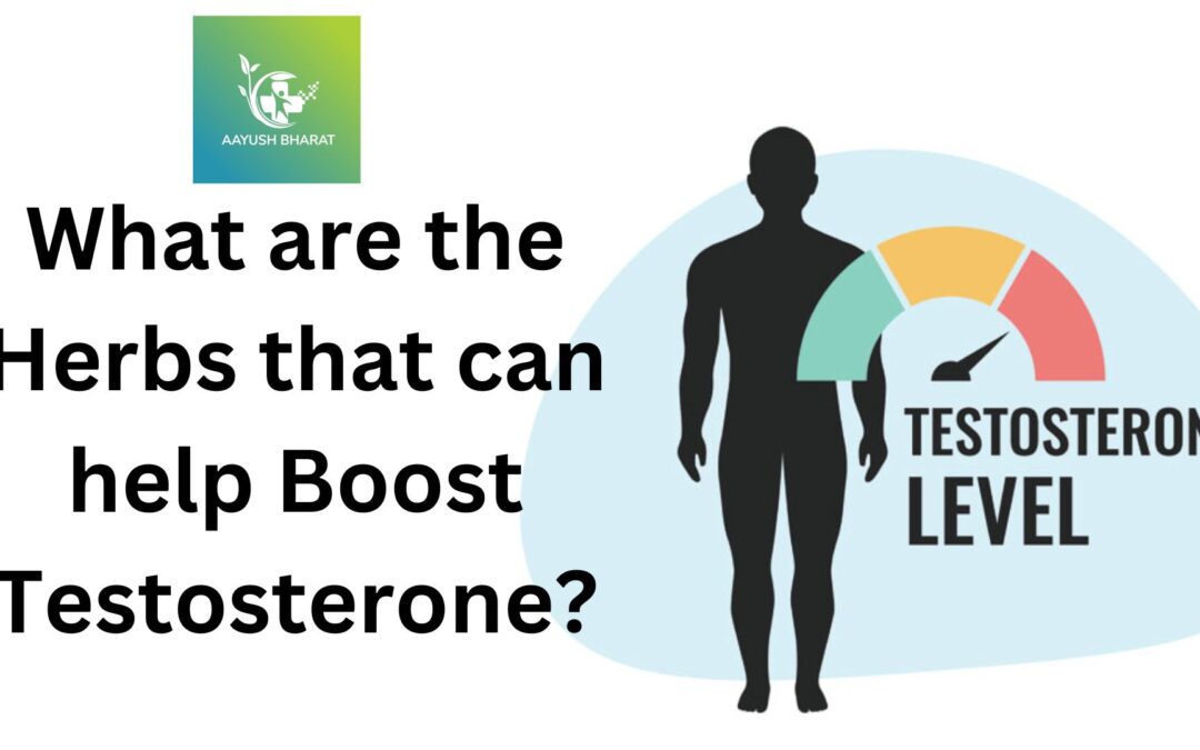 What are the herbs that can help boost testosterone?
