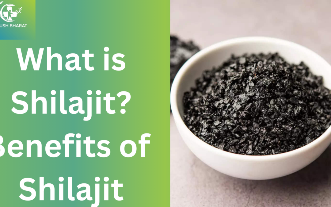 What is Shilajit? Benefits of Shilajit