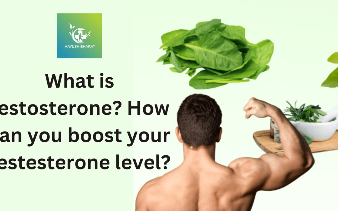What is testosterone? How can you boost your testesterone level?