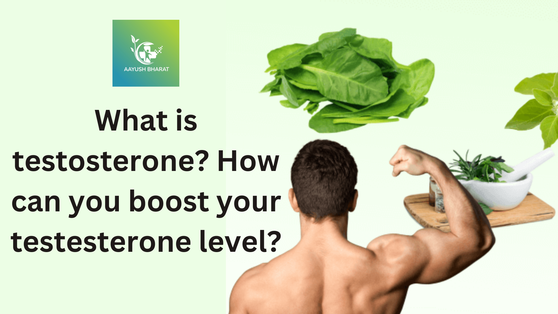 testesterone levels