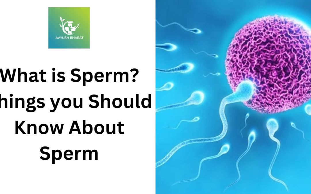 What is Sperm? Things you Should Know About Sperm