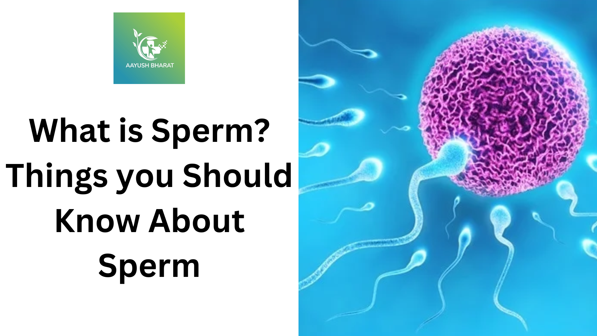 Sperm count