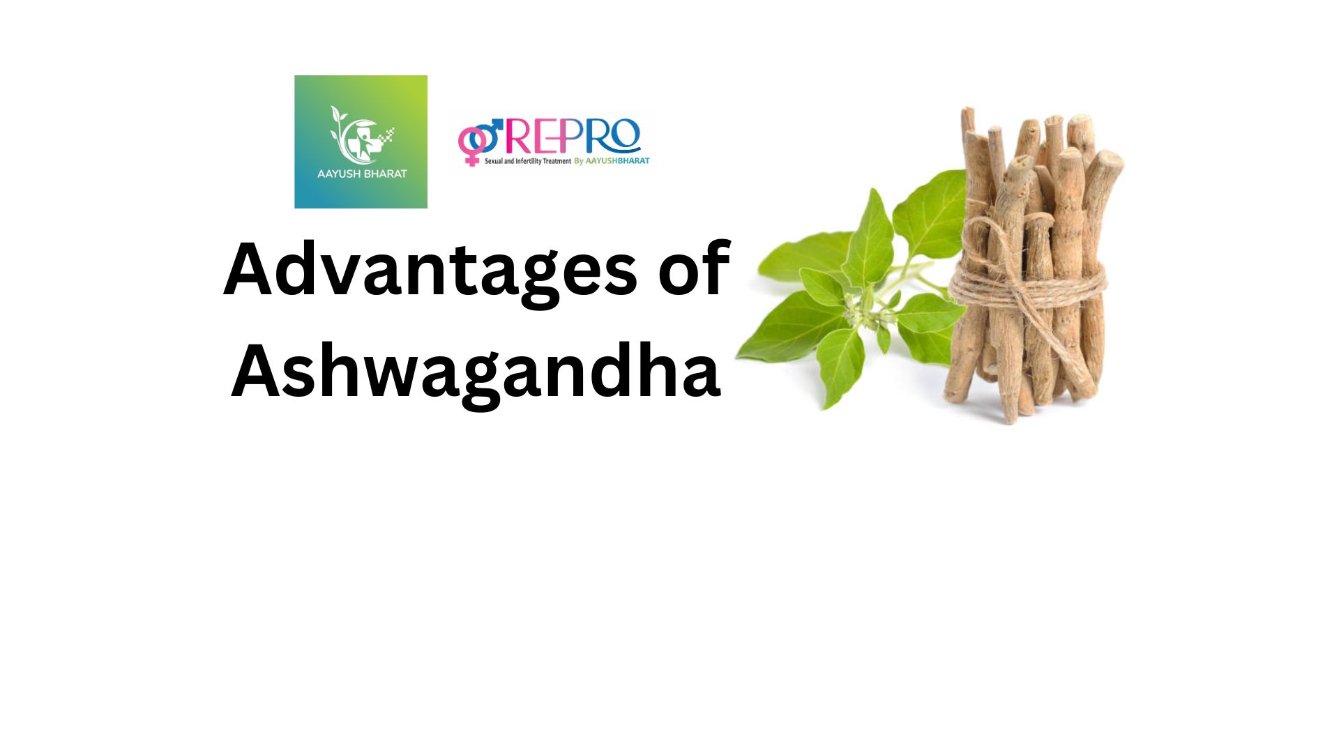 Advantages Of Ashwagandha Aayush Bharat Blog