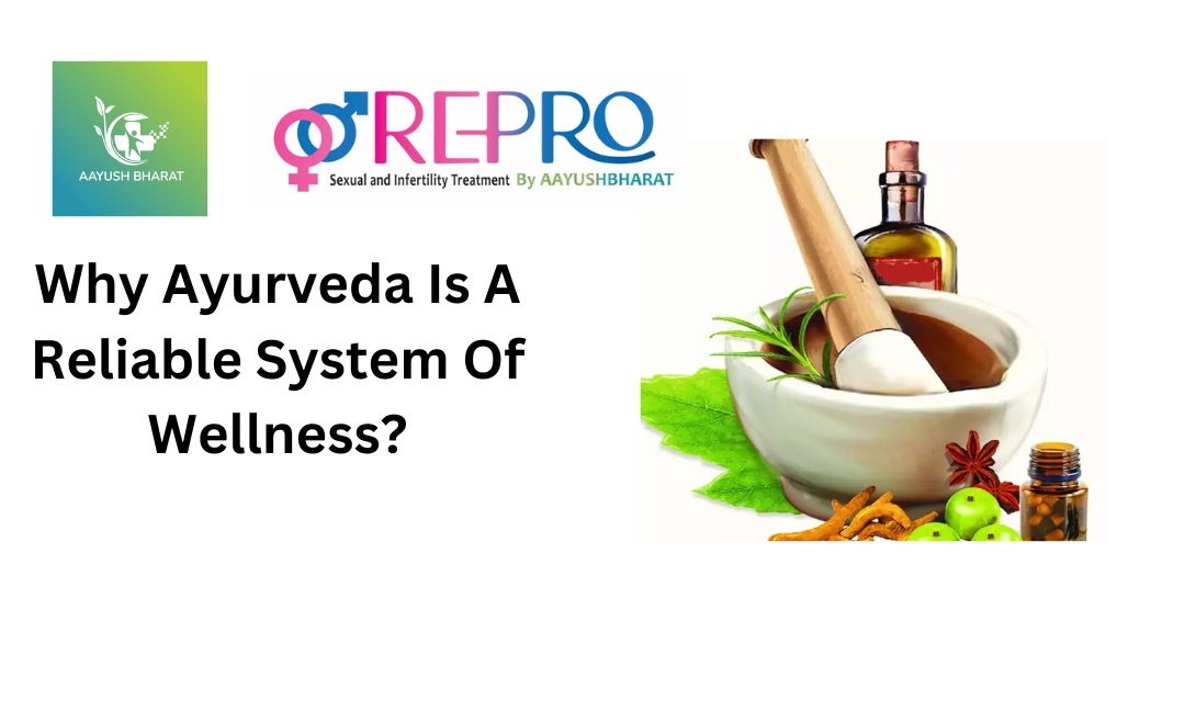 Why Ayurveda Is A Reliable System Of Wellness?