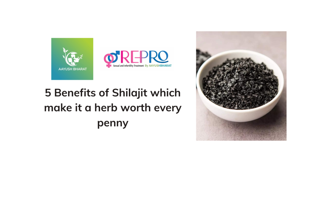 5 benefits of Shilajit which make it a herb worth every penny