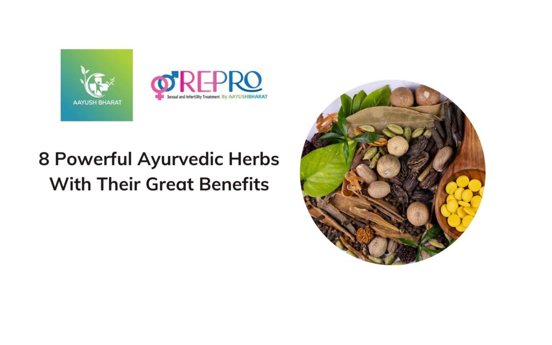 8 Powerful Ayurvedic Herbs With Their Great Benefits