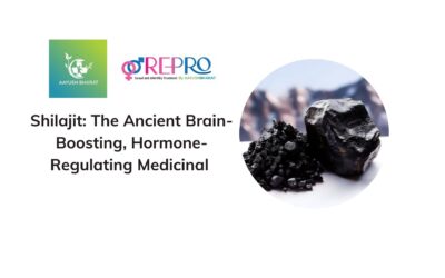 Shilajit: The Ancient Brain-Boosting, Hormone-Regulating Medicinal