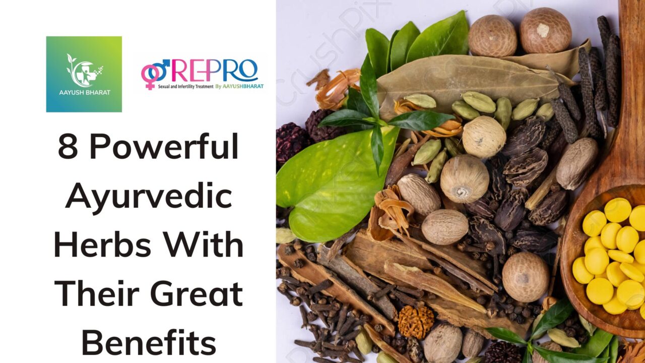 8 Powerful Ayurvedic Herbs With Their Great Benefits Aayush Bharat Blog