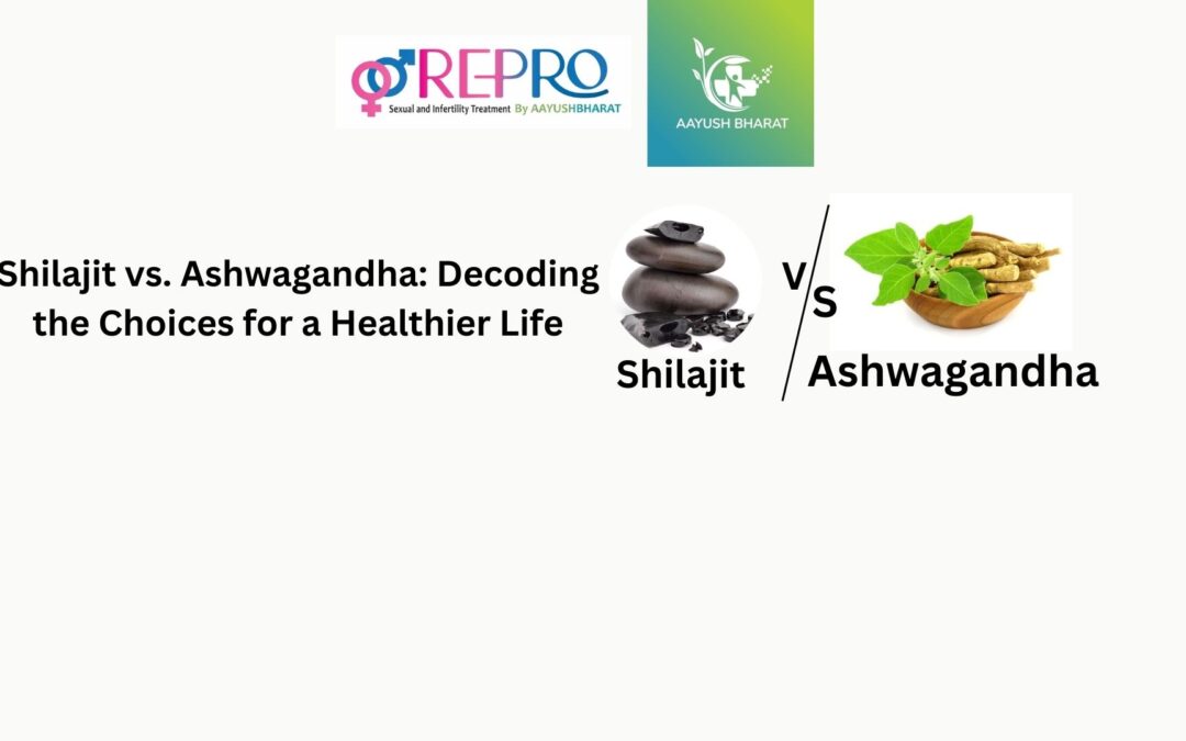 Shilajit vs. Ashwagandha: Decoding the Choices for a Healthier Life