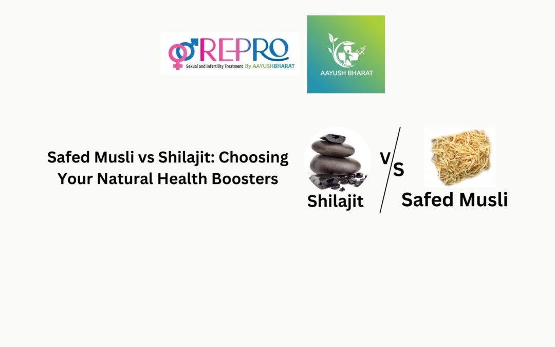 Safed Musli vs Shilajit: Choosing Your Natural Health Boosters