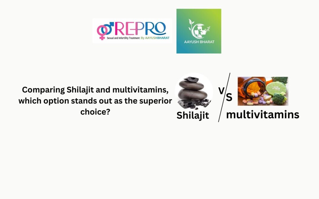 Comparing Shilajit and multivitamins, which option stands out as the superior choice?
