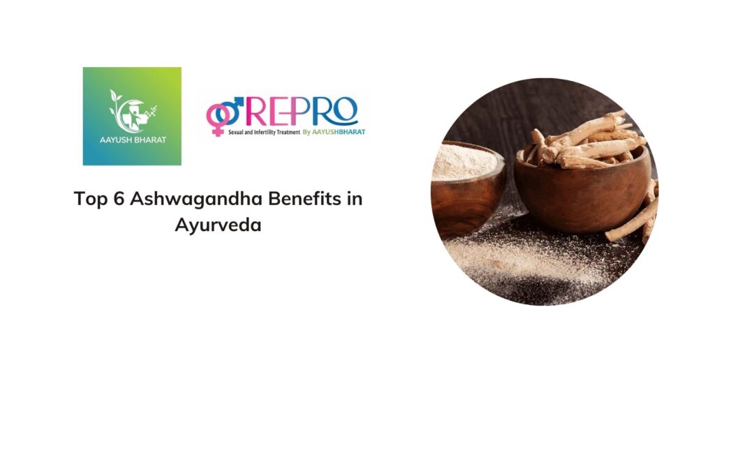 Top 6 Ashwagandha Benefits in Ayurveda