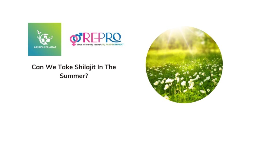 Can We Take Shilajit In The Summer?