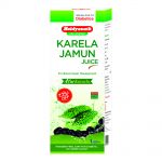 Baidyanath Karela Jamun Juice