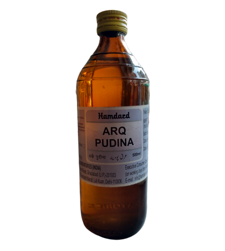 HAMDARD ARQ PUDINA - 500 ml (Main Image)